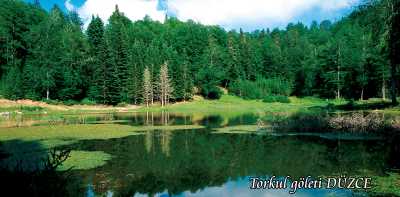 Torkul Göleti ve Yaylası